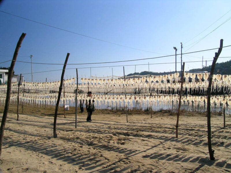 Read more about the article 추암 해수욕장