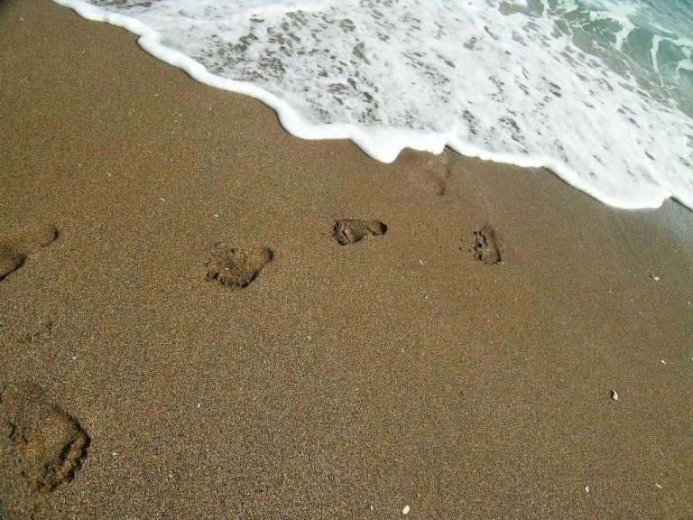 Read more about the article 발자국