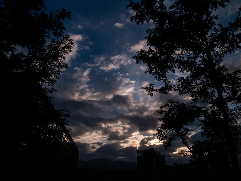 Read more about the article 집 풍경