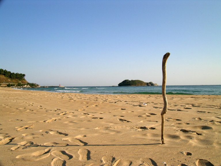 Read more about the article 화진포