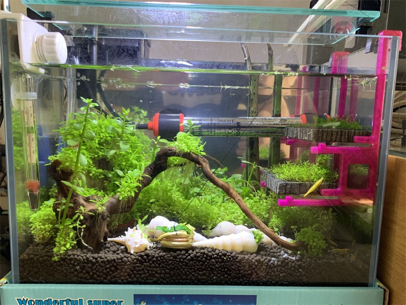 Read more about the article 1호 어항