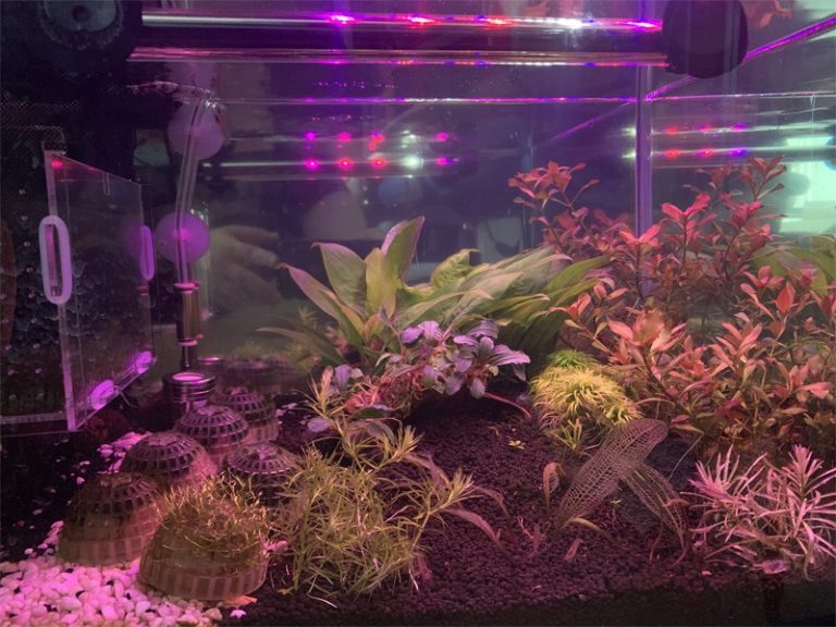 Read more about the article 2호 어항