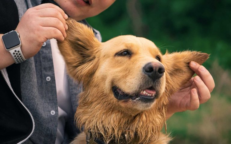 Read more about the article 2022년 05월 15일 망고