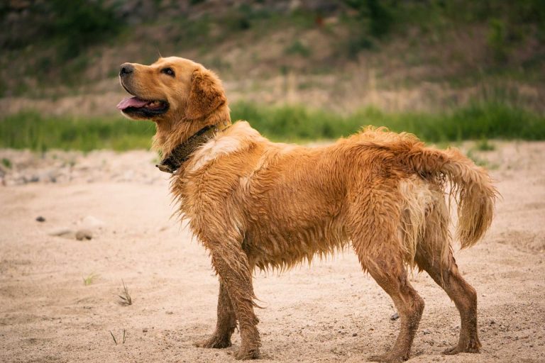 Read more about the article 2022년 05월 15일 망고