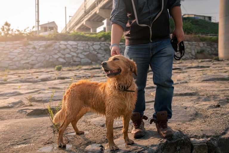 Read more about the article 2022년 05월 18일 망고