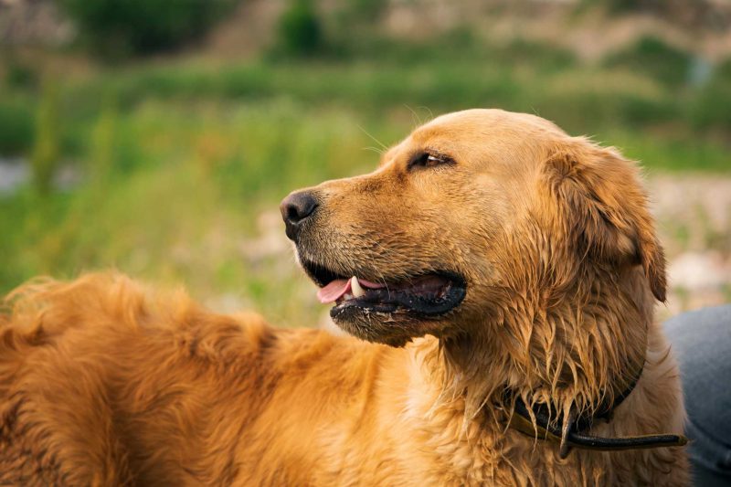 Read more about the article 2022년 06월 02일 망고