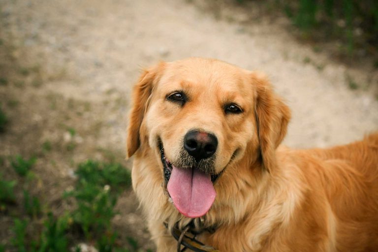 Read more about the article 2022년 06월 10일 망고