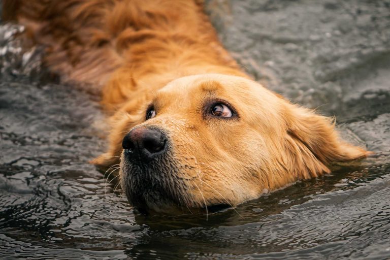 Read more about the article 2022년 06월 22일 망고