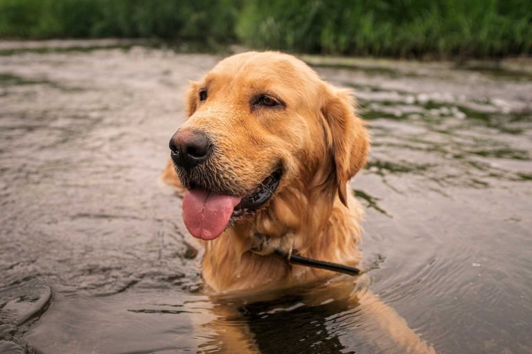 Read more about the article 2022년 06월 22일 망고