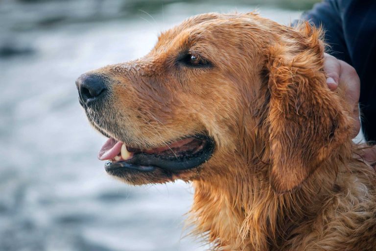 Read more about the article 2022년 07월 01일 망고