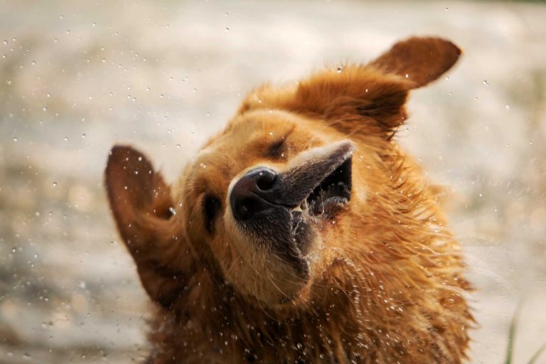 Read more about the article 2022년 07월 15일 망고