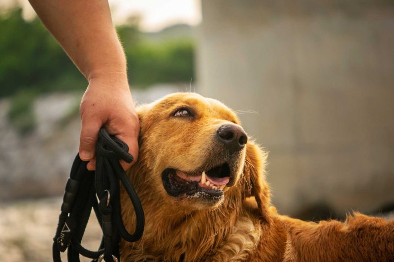 Read more about the article 2022년 07월 15일 망고