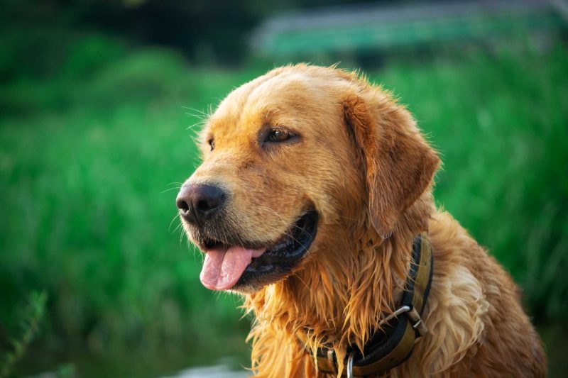 Read more about the article 2022년 07월 25일 망고