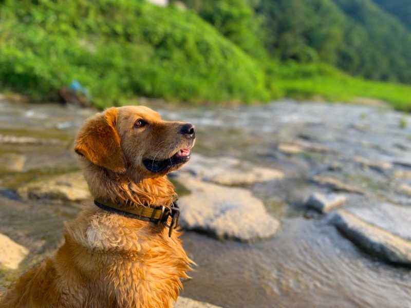 2022년 08월 05일 망고