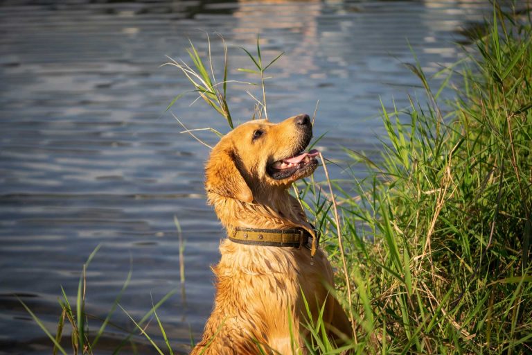 Read more about the article 2022년 09월 02일 망고