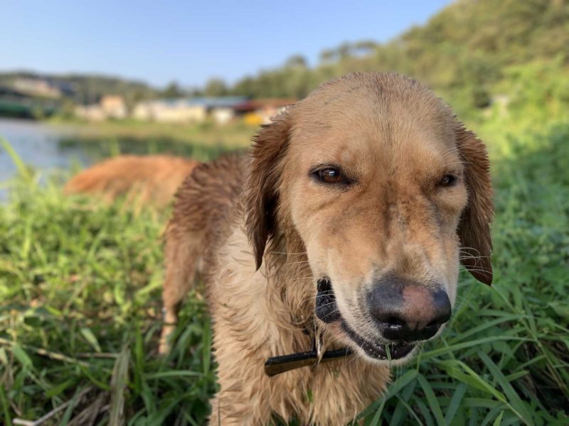 2022년 09월 06일 망고