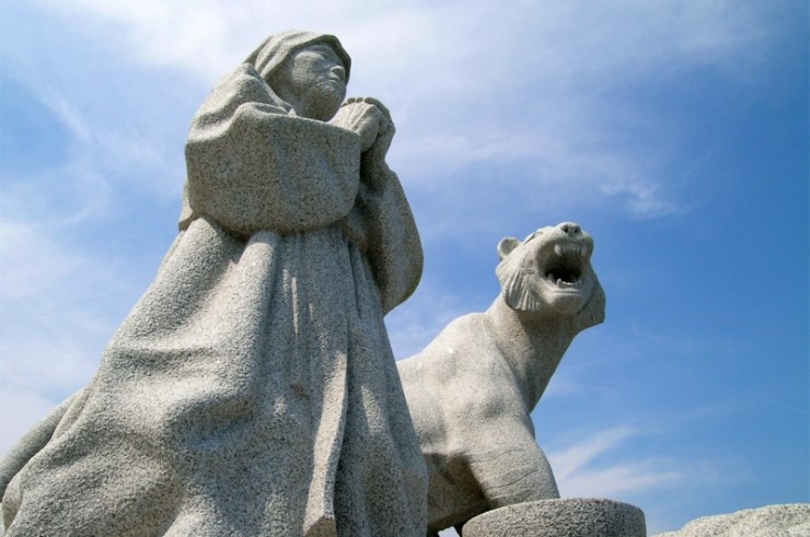 Read more about the article 진도