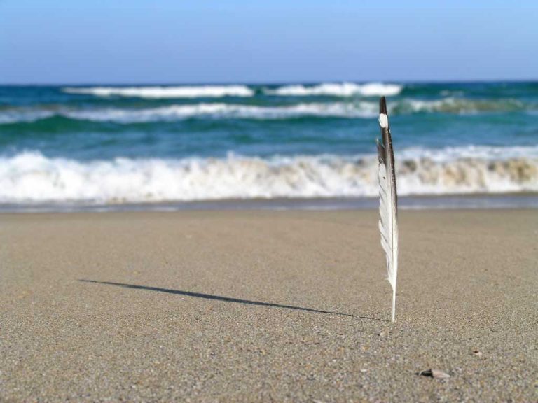 Read more about the article 2004년 12월 속초