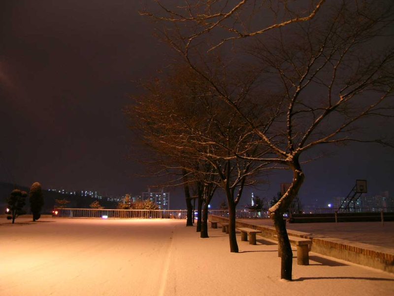 2005년 01월 오산대