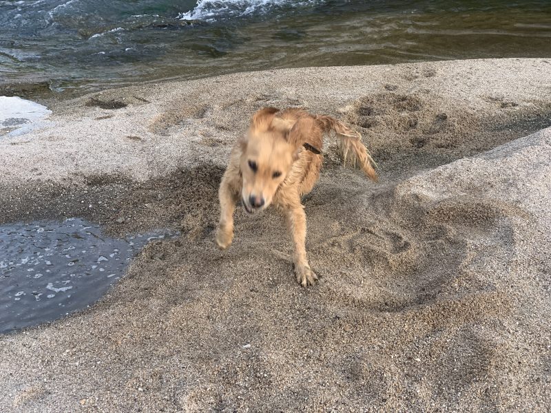 2022년 09월 22일 사과먹기