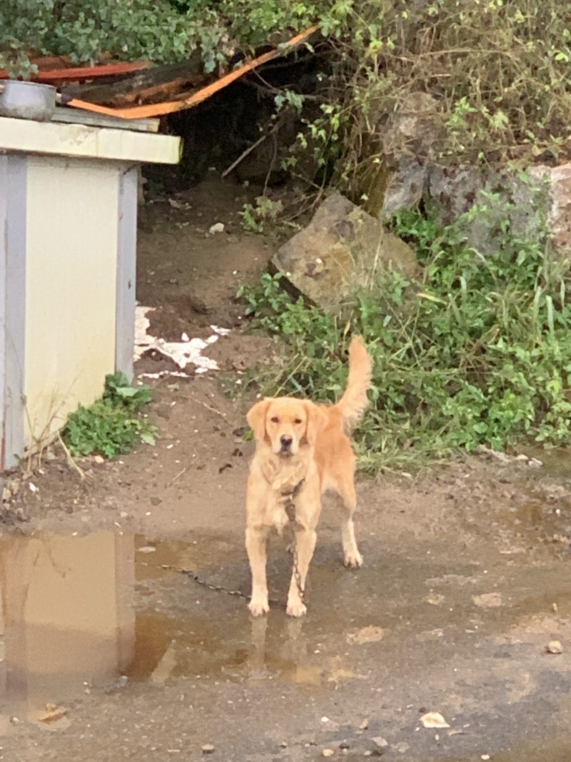 2022년 10월 10일 일상