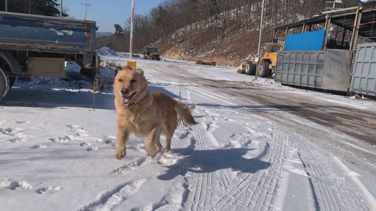 Read more about the article 2022년 12월 15일 눈온날