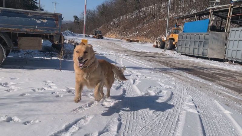 2022년 12월 15일 눈온날