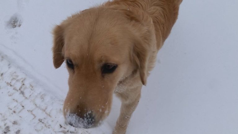 Read more about the article 2022년 12월 21일 눈온날