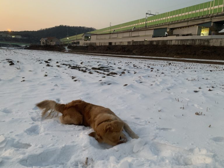 Read more about the article 2022년 12월 22일 저녁산책