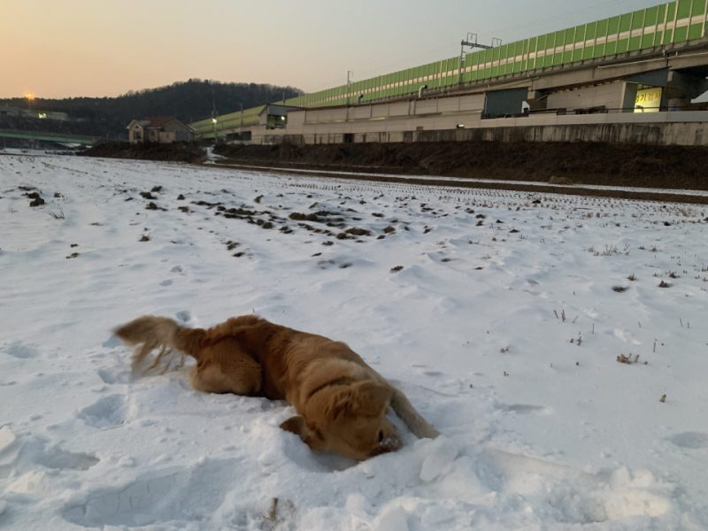 2022년 12월 22일 저녁산책