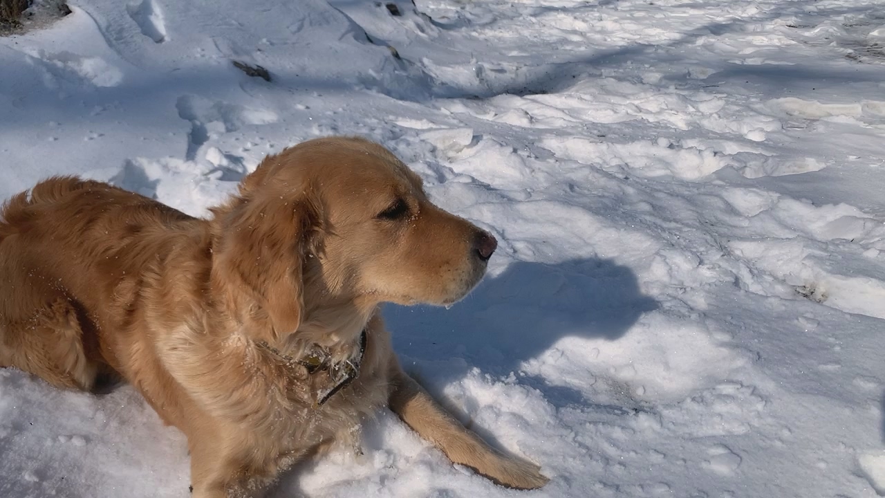 2022년 12월 29일 눈 놀이