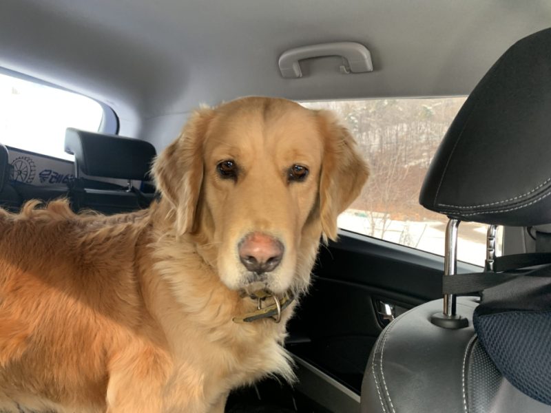 2023년 01월 17일 차타기